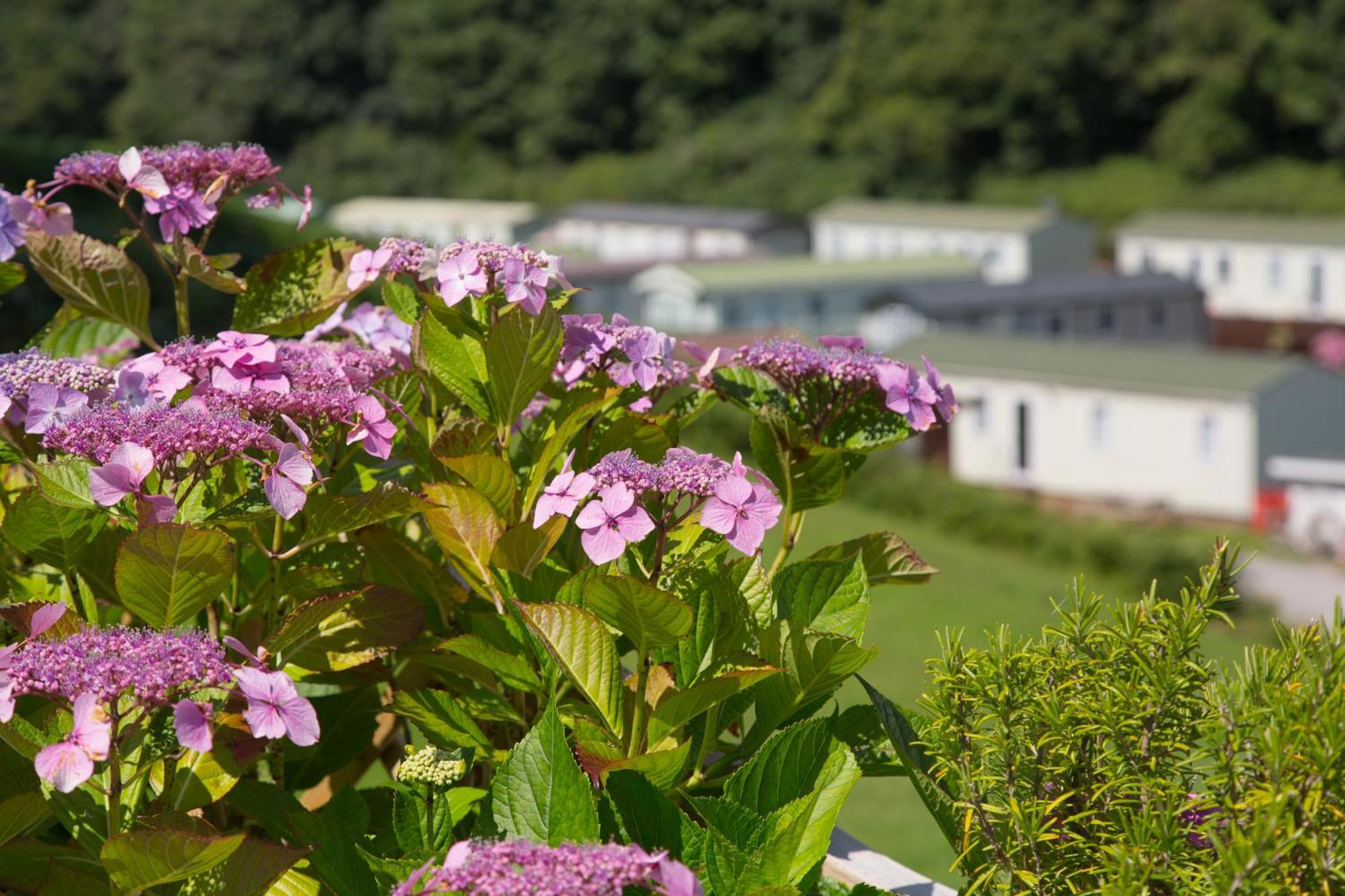 Holiday home Caravan 7 Plymouth